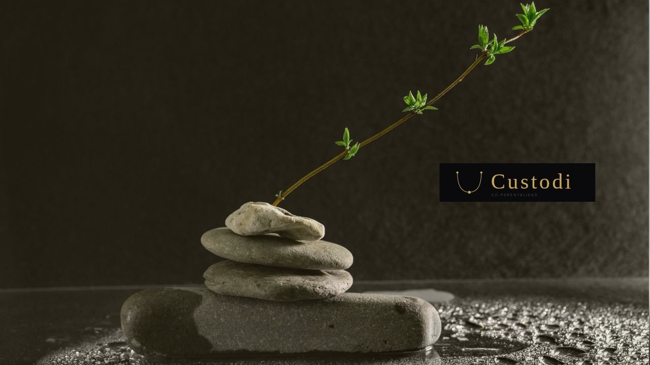 Ambiente de calma y serenidad para la comunicación co-parental